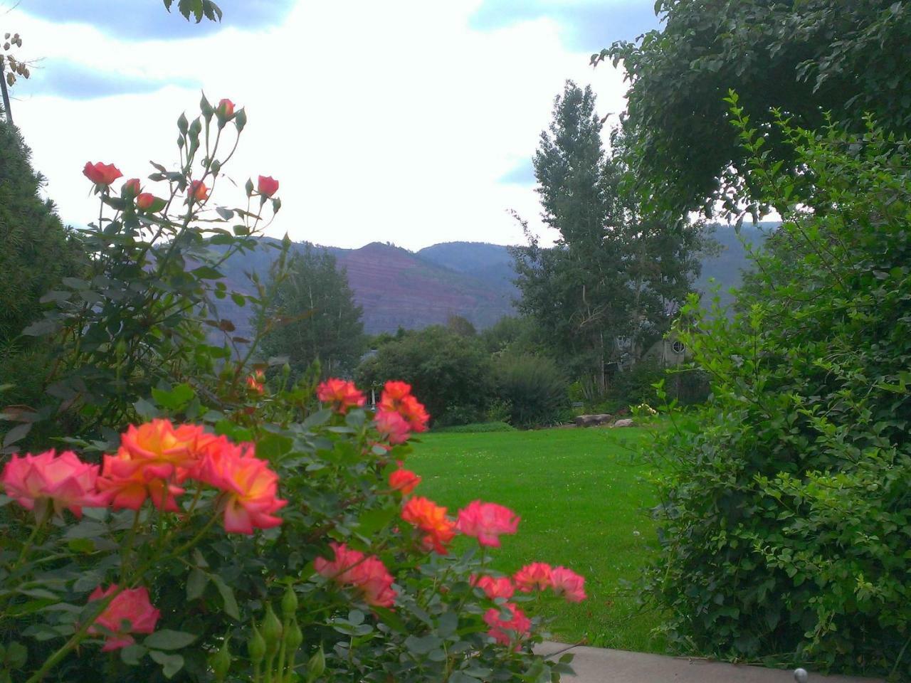 Apple Orchard Inn Hermosa Room photo