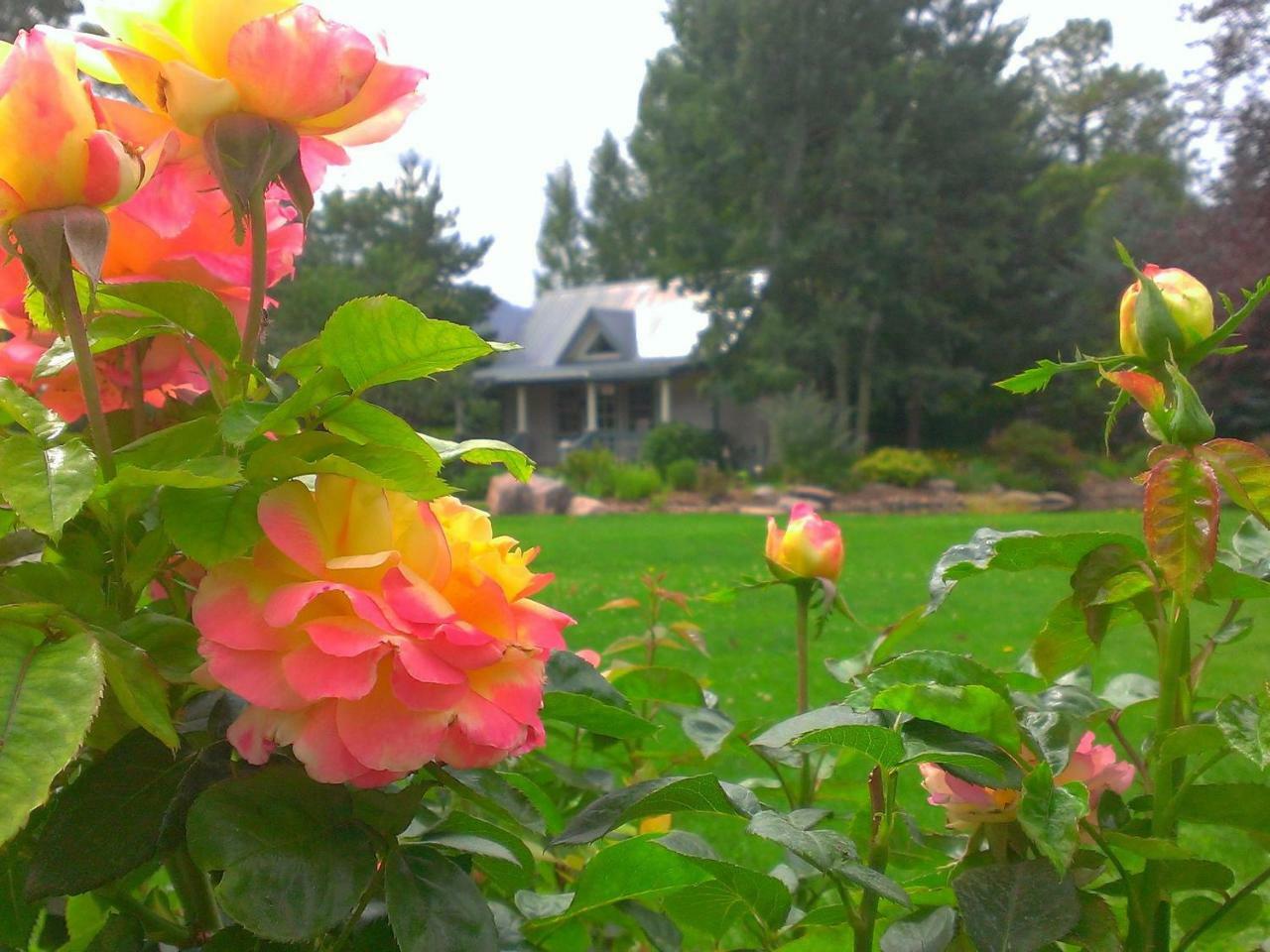 Apple Orchard Inn Hermosa Exterior photo